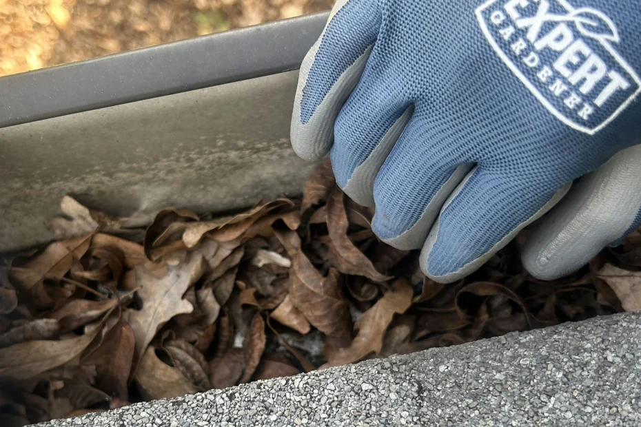 Gutter Cleaning Middletown DE