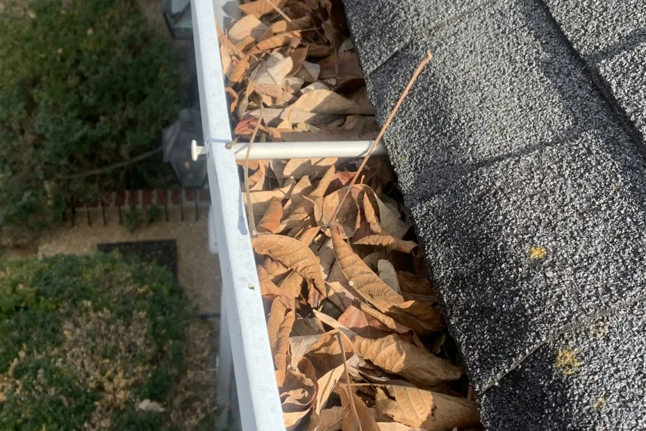 Gutter Cleaning Middletown DE