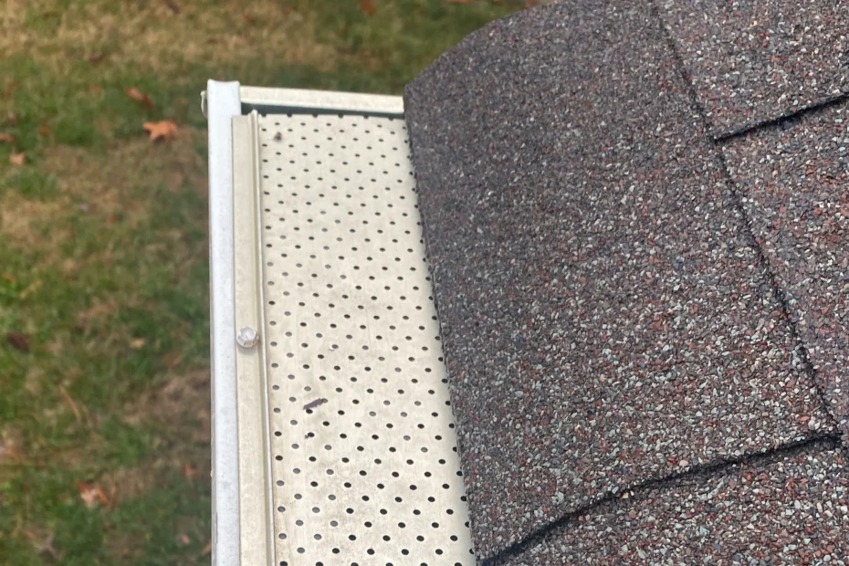 Gutter Cleaning Middletown DE