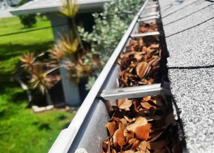 Gutter Cleaning Middletown DE home page